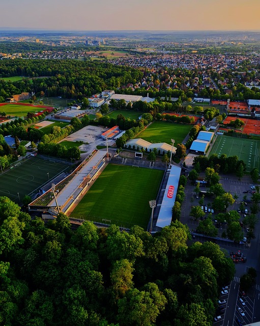 性的意义 性的意义